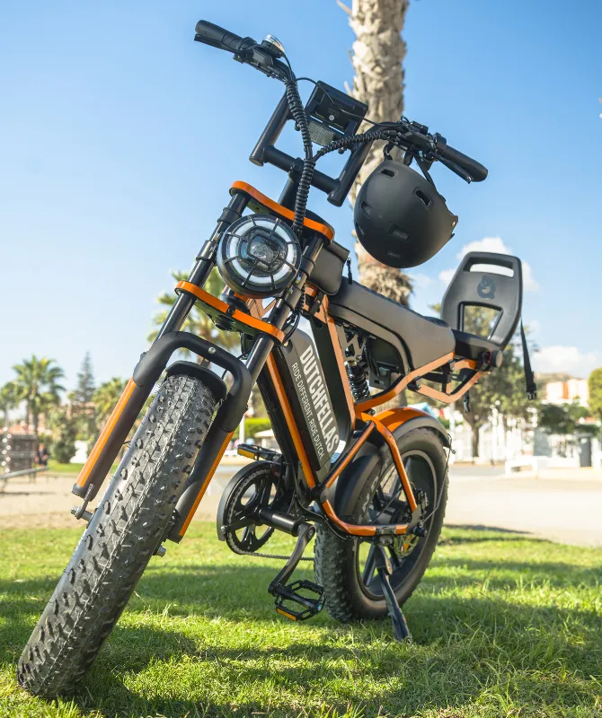 A DutchFellas bike in a Málaga park by the sea